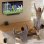 Barra de Sonido Samsung HW-Q930H 9.1.4 580W Bluetooth WiFi Dolby Atmos Negra Titan Black