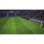 Final Kick Football Legends SWITCH