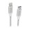 Cable SBS Lightning-USB-C 1 m Plata