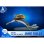 Figura Jake Sully Con Skimwing Avatar The Way Of Water Diorama 11 Cms