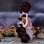 Figura Special Luffy Taro Dxf One Piece 20 Cms
