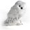 Peluche Hedwig Harry Potter 25 Cms