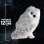 Peluche Hedwig Harry Potter 25 Cms