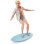 Figura Ken Con Tabla De Surf Y Conjunto A Rayas Barbie Articulado 30 Cms