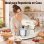Robot de Cozinha Teendow 1500W 4,7L 12 Velocidades Pulso