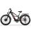 Bicicleta Eléctrica Tifgalop Doble Motor 52V 21Ah Neumáticos Fat 26"