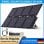Panel Solar Lionshee 60W 10 Puertos DC USB Tipo-C Plegable IP67