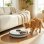 Dispensador automático Welltin D08-096V00GY para gatos y perros pequeños, 6 comidas, temporizador y pantalla LED