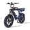 Velo Electrique Engwe M1 250 W Double Batterie 48 V 20 pouces