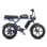 Velo Electrique Engwe M1 250 W Double Batterie 48 V 20 pouces