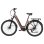 Bicicleta eléctrica TTGO C7 SE Motor 250W Batería 36V 18Ah