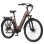 Bicicleta eléctrica TTGO C7 SE Motor 250W Batería 36V 18Ah