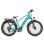 Bicicleta Eléctrica ENGWE E26 250W 48V 16Ah Neumáticos Fat 26"