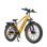 Bicicleta eléctrica Engwe E26 250W 48V 16Ah 26" Fat neumáticos pantalla LCD