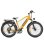 Bicicleta eléctrica Engwe E26 250W 48V 16Ah 26" Fat neumáticos pantalla LCD