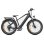 Bicicleta eléctrica ENGWE E26 Motor 250W Batería 48V 16Ah Neumáticos 26" Fat Negro