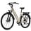 Bicicleta eléctrica TTGO C3 SE 250 W 28" Amarillo