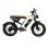 Bicicleta Eléctrica OneSport W66 500W 48V 20"