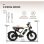Bicicleta Eléctrica OneSport W66 500W 48V 20"