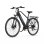Duotts C29 Lite E-Bike 250 W 36V 13Ah Reichweite 40 km