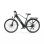 Duotts C29 Lite E-Bike 250 W 36V 13Ah Reichweite 40 km