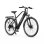Duotts C29 Lite E-Bike 250 W 36V 13Ah Reichweite 40 km