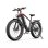 Velo electrique DUOTTS F26 Lite 250 W 48V 18Ah
