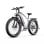 Velo electrique DUOTTS F26 Lite 250 W 48V 18Ah
