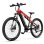 Velo electrique Duotts E29 250 W Batterie 48 V 13,5 Ah