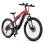 Velo electrique Duotts E29 250 W Batterie 48 V 13,5 Ah