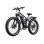 Vélo électrique Duotts S26 double moteur 750 W