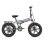 Bicicleta eletrica Engwe EP-2 Boost Plegavel Todo-terreno