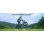 Velo Electrique Engwe L20 Boost 250W 48V 13Ah