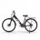 Bicicleta eléctrica Finer Mobility M2 Step-Thru 250W 36V 13Ah plegable Shimano 7V
