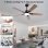 Ventilatore da Soffitto con Luce Welltin EU52SH-5003BK-1L 20W 132cm 6 Velocità Motore DC Silenzioso Telecomando Reversibile