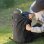 Sac a dos randonnée PGYTECH P-CB-416 Sport 40L Noir