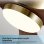 Ventilatore da Soffitto con Luce Autrucker 24W 106cm 6 Velocità Telecomando Silenzioso Bronzo