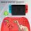 Mando Subsonic Sem Fio Bluetooth Vermelho LEDs RGB programaveis M1/M2 Switch