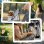 Passeggino per cani pieghevole Aosom con freni e cestino