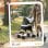 Passeggino cani Aosom 76x44x103 cm nero grigio chiaro