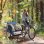 Rimorchio Bici Bambini Aosom 2 Posti Telaio Acciaio Blu Oxford