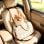 Seggiolino Auto Aosom Per Cani Piccoli Con Guinzaglio
