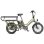 Bicicleta eléctrica Fafrees FF20 CUV Asiento Doble Infantil 24 Ah