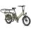 Bicicleta eléctrica Fafrees FF20 CUV Asiento Doble Infantil 24 Ah