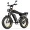 Bicicleta Eléctrica Aairsk X5 Motor 250W Batería 48V 15Ah