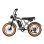 Bicicleta Eléctrica PVY A20 48V 20Ah 80km 20" 25km/h Gris