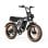 Bicicleta Eléctrica PVY A20 48V 20Ah 80km 20" 25km/h Gris