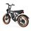 Bicicleta Eléctrica PVY A20 48V 20Ah 80km 20" 25km/h Gris