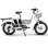 Bicicleta Eléctrica Philodo Traveller Doble Batería 1000W 48V Plegable