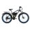 Bicicleta eléctrica Philodo H7 Pro Motor 1000W 48V Neumáticos Todoterreno 26"
